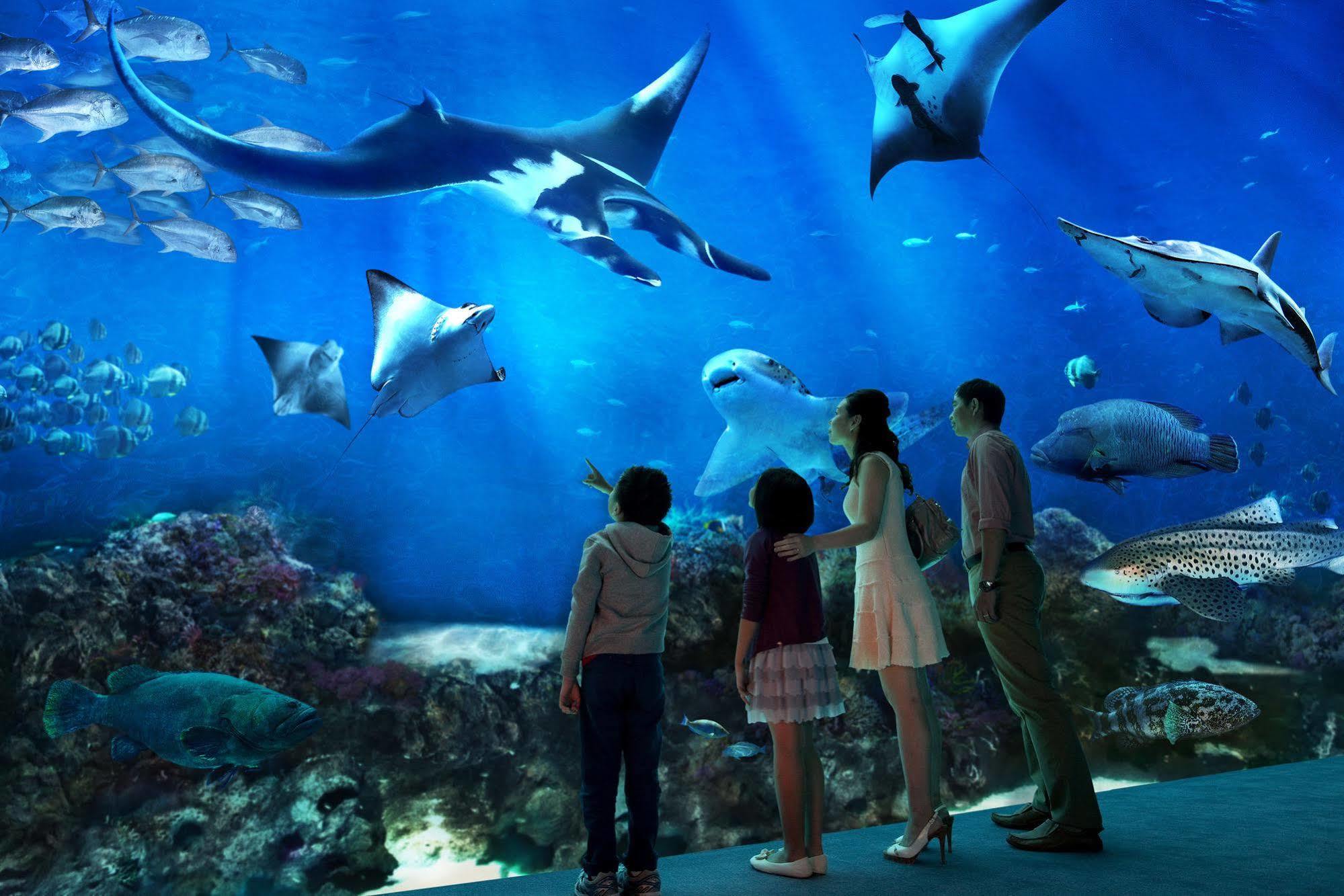 World Sentosa - 5* Singapur